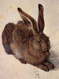 Junger Feldhase von Albrecht Dürer, Aquarell 1502